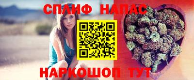 тгк Гусиноозёрск